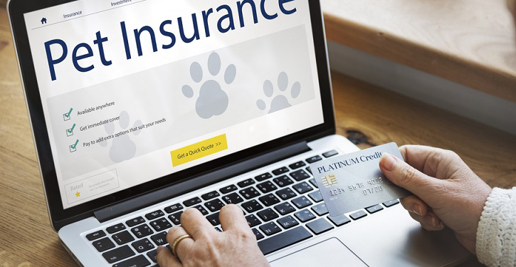 pet-insurance