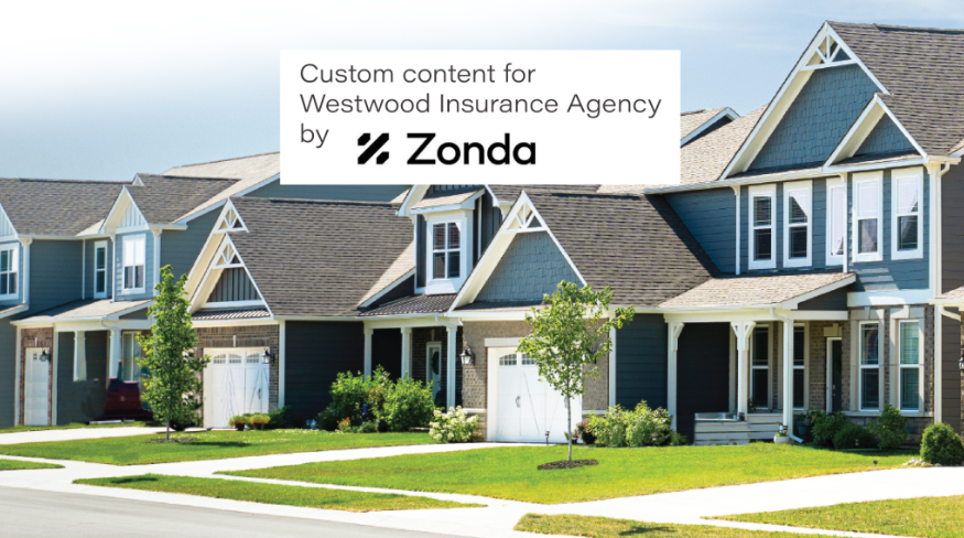"A Stability Strategy for a Difficult Market" custom content by Zonda.