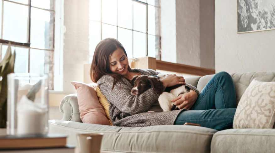 may-2026-pet-article